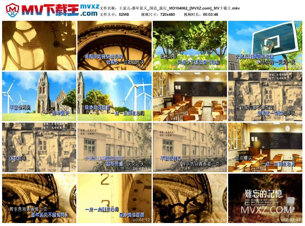 王爰儿-那年夏天_国语_流行_MD104062